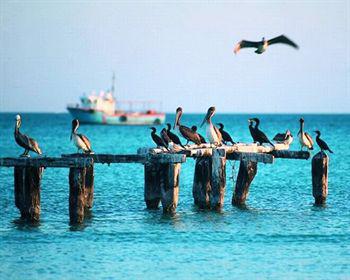 Wayak Holbox Hotel ภายนอก รูปภาพ